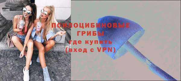 прущий лед Гусь-Хрустальный