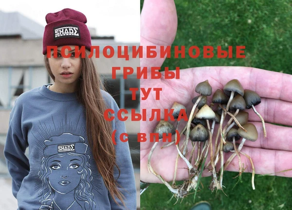 прущая мука Гусев