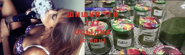 дмт Гусиноозёрск