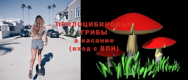 дмт Гусиноозёрск