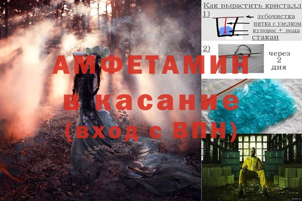 дживик Шали