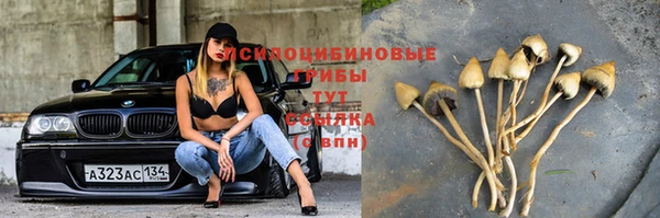 дмт Гусиноозёрск