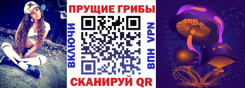 Галлюциногенные грибы мицелий Приморск